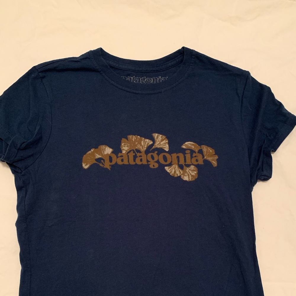 Rich teal Patagonia t-shirt